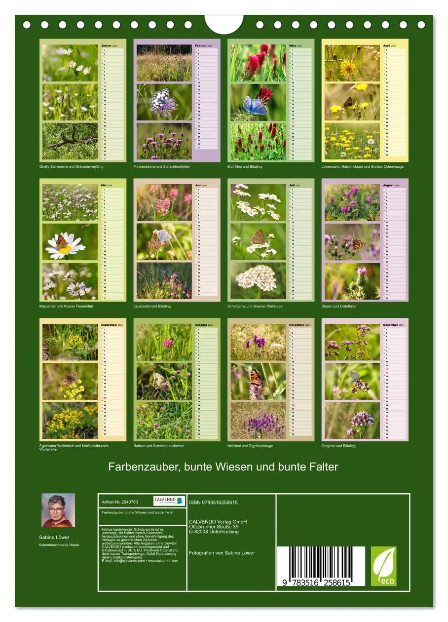 Bild: 9783516258615 | Farbenzauber, bunte Wiesen und bunte Falter (Wandkalender 2026 DIN...