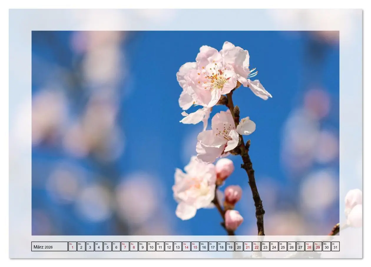 Bild: 9783516638615 | Jeden Monat in der Natur (hochwertiger Premium Wandkalender 2026...