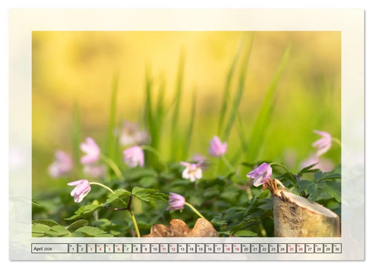 Bild: 9783516638615 | Jeden Monat in der Natur (hochwertiger Premium Wandkalender 2026...
