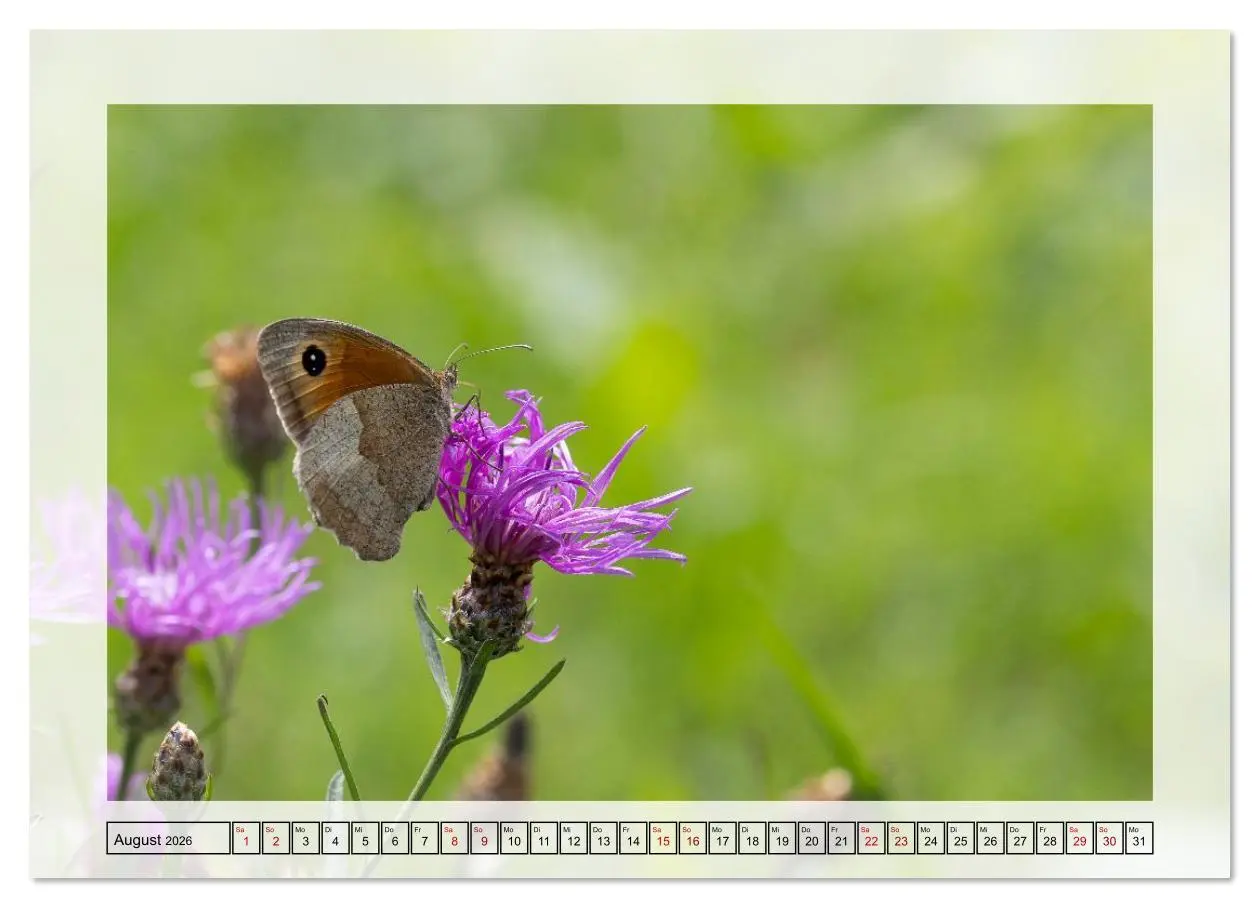 Bild: 9783516638615 | Jeden Monat in der Natur (hochwertiger Premium Wandkalender 2026...