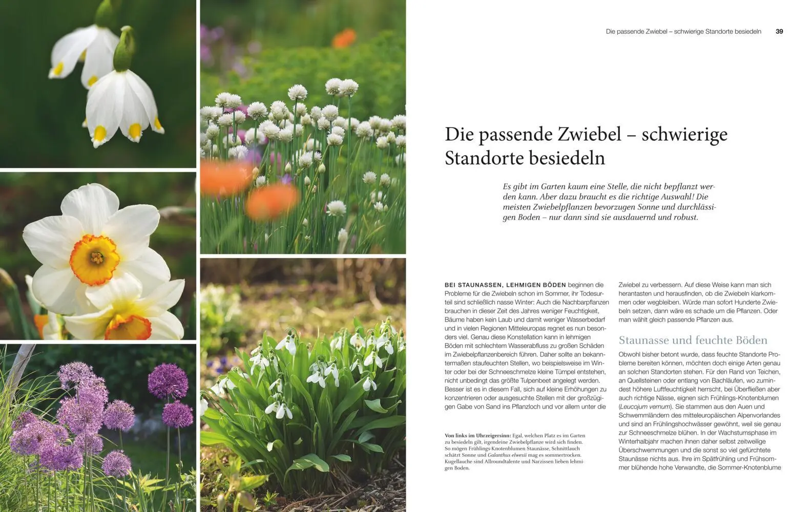 Bild: 9783835418615 | Blütenreich | Katrin Lugerbauer | Buch | 168 S. | Deutsch | 2019
