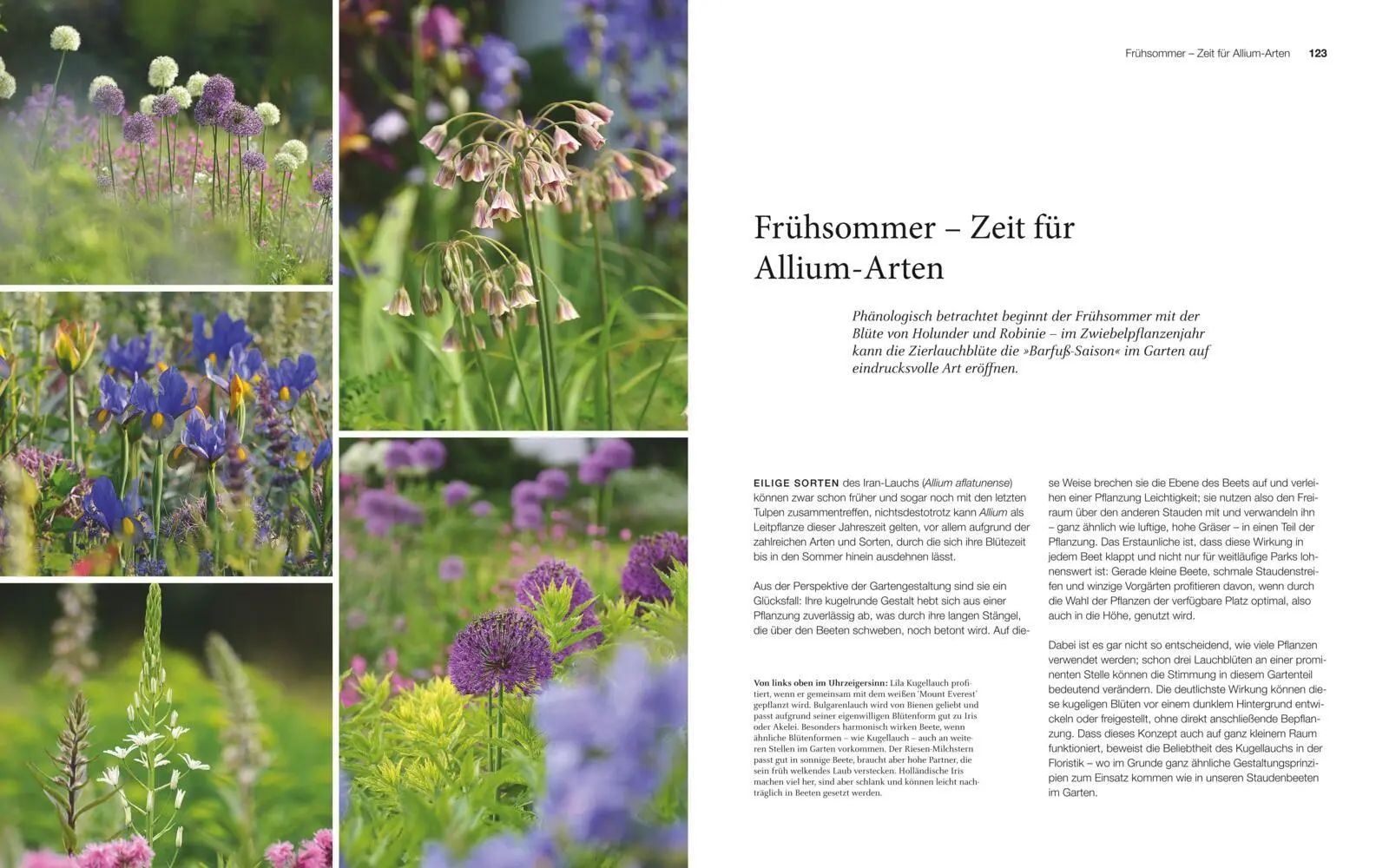 Bild: 9783835418615 | Blütenreich | Katrin Lugerbauer | Buch | 168 S. | Deutsch | 2019