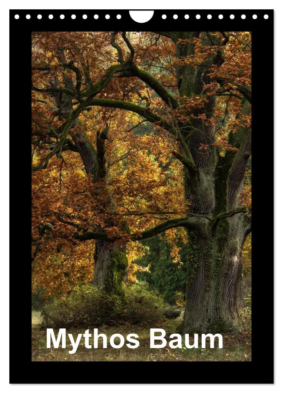 Cover: 9783516488715 | Mythos Baum / 2026 (Wandkalender 2026 DIN A4 hoch), CALVENDO...