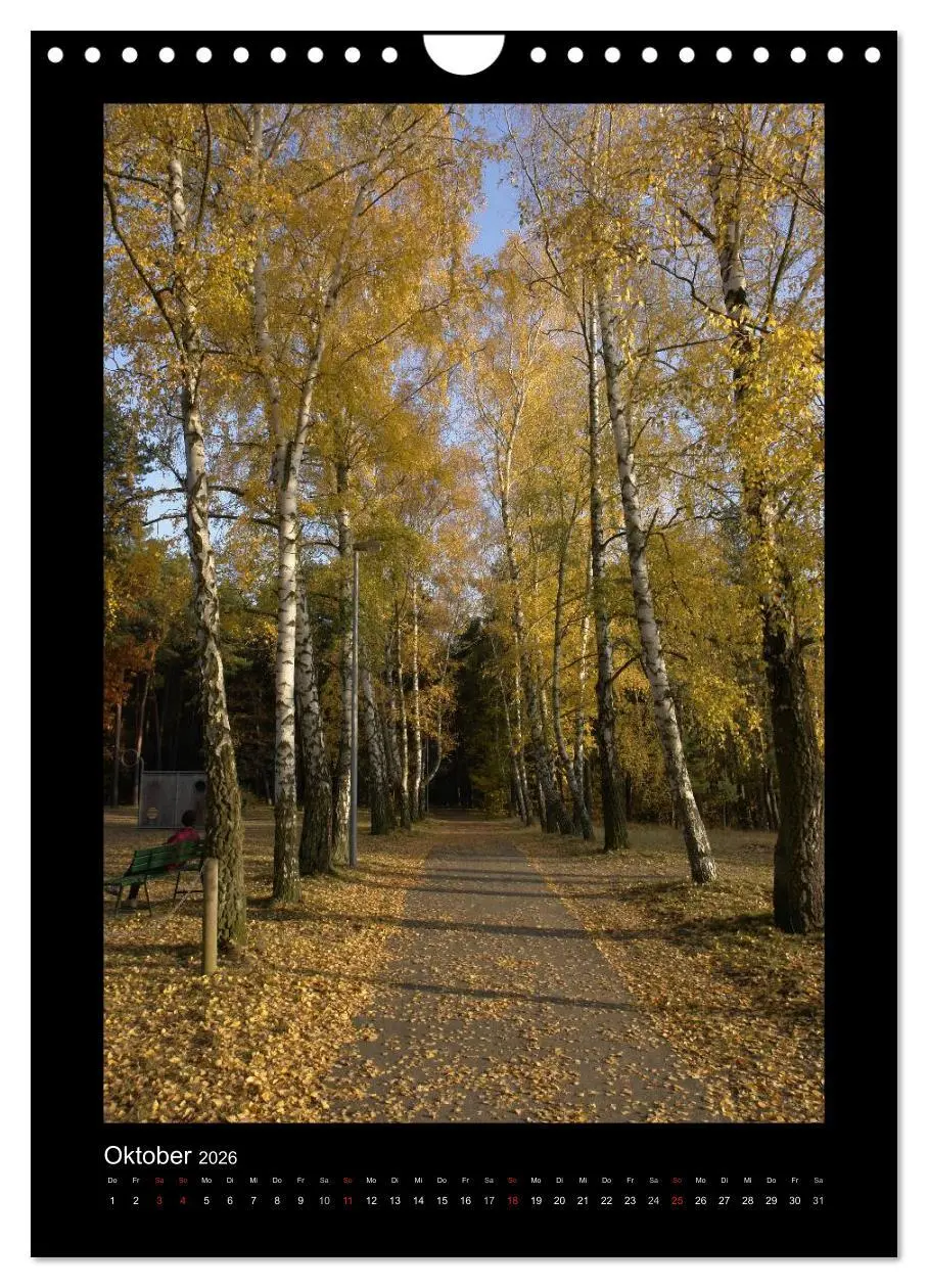Bild: 9783516488715 | Mythos Baum / 2026 (Wandkalender 2026 DIN A4 hoch), CALVENDO...