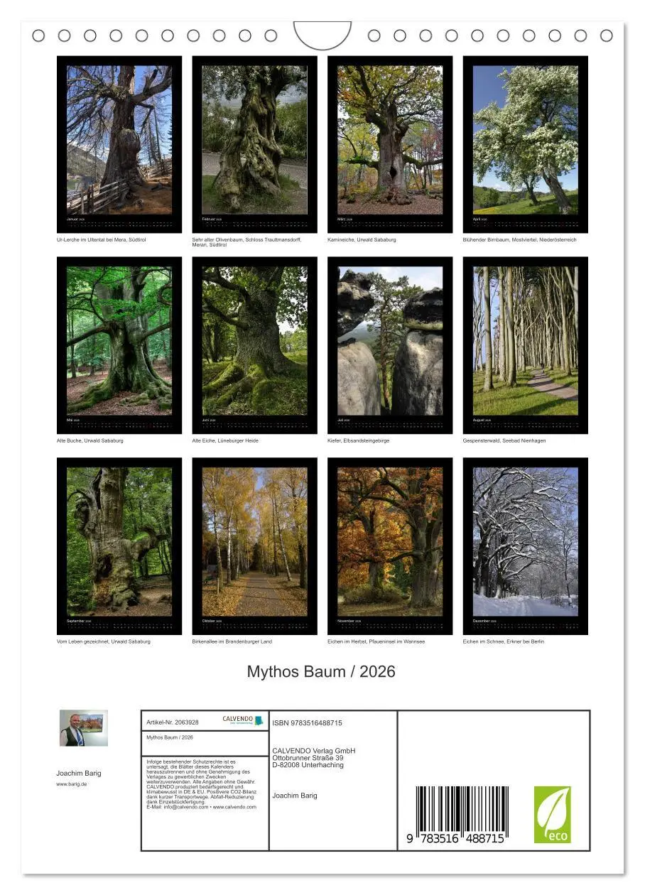 Bild: 9783516488715 | Mythos Baum / 2026 (Wandkalender 2026 DIN A4 hoch), CALVENDO...