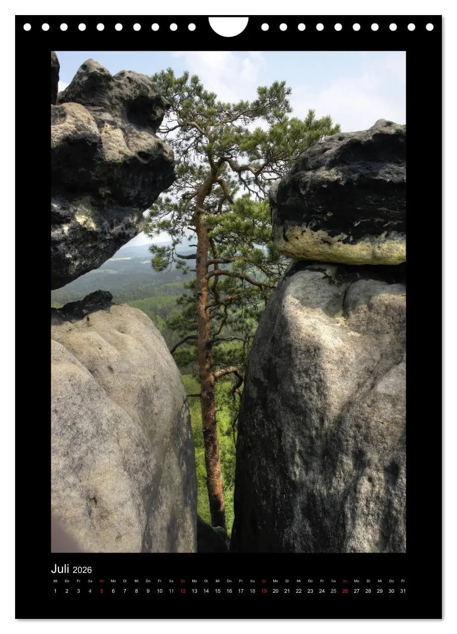 Bild: 9783516488715 | Mythos Baum / 2026 (Wandkalender 2026 DIN A4 hoch), CALVENDO...