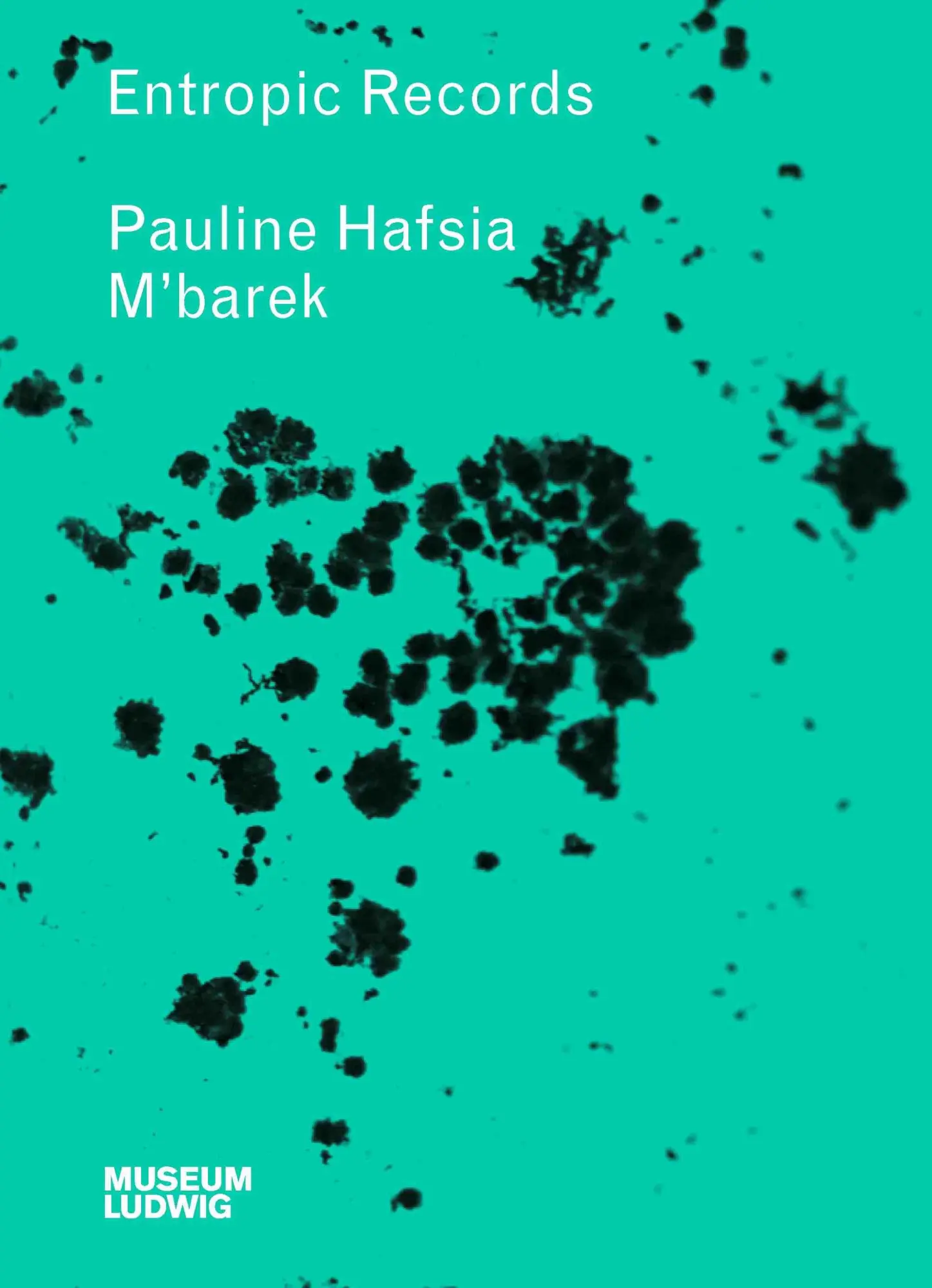 Cover: 9783753308715 | Pauline M´barek. Entropic Records | Museum Ludwig, Köln | Engelbach