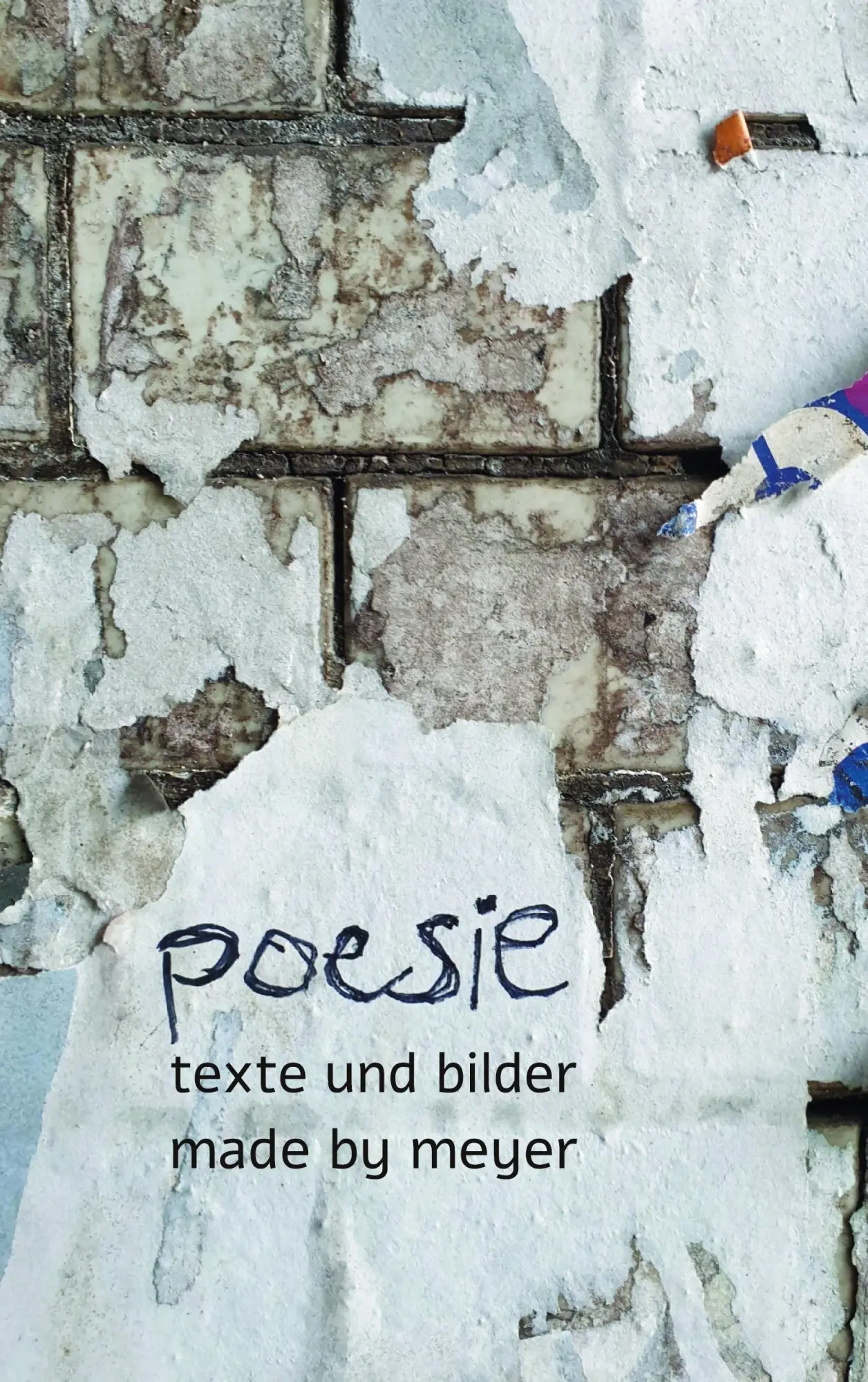Cover: 9783753478715 | poesie | Texte und Bilder made by meyer | Verena Meyer | Buch | 88 S.