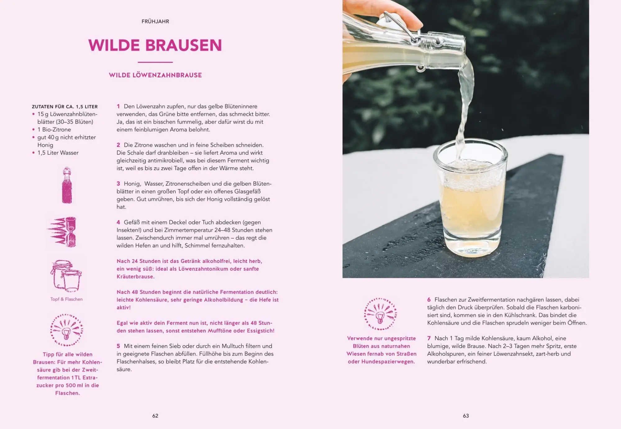 Bild: 9783833898815 | Fermentation | Katsu Lask | Taschenbuch | 176 S. | Deutsch | 2026