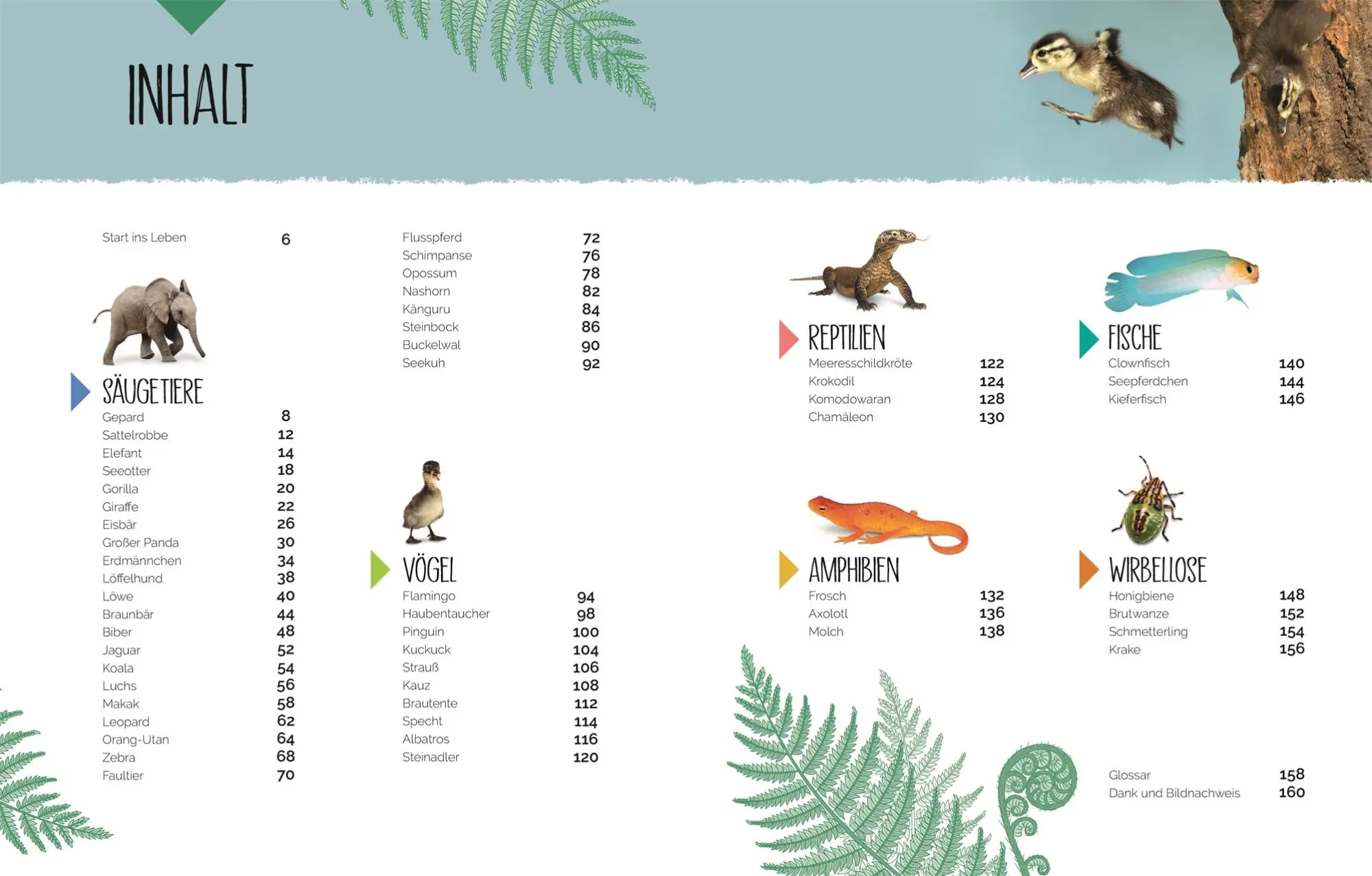Bild: 9783831048915 | Tierkinder der Wildnis | DK Verlag - Kids | Buch | 160 S. | Deutsch