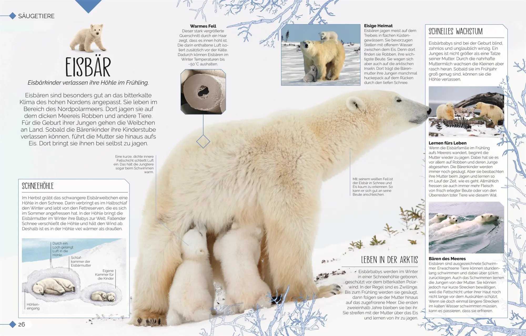 Bild: 9783831048915 | Tierkinder der Wildnis | DK Verlag - Kids | Buch | 160 S. | Deutsch