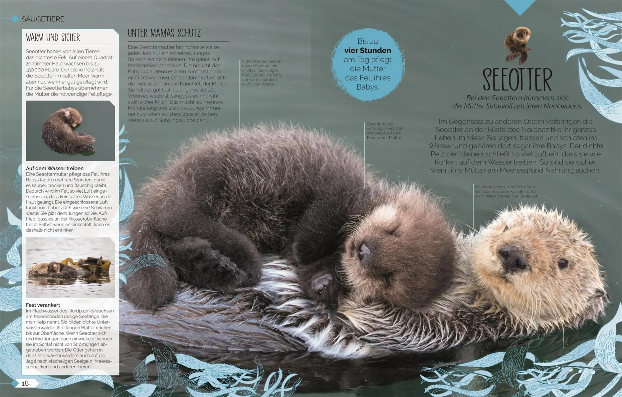 Bild: 9783831048915 | Tierkinder der Wildnis | DK Verlag - Kids | Buch | 160 S. | Deutsch