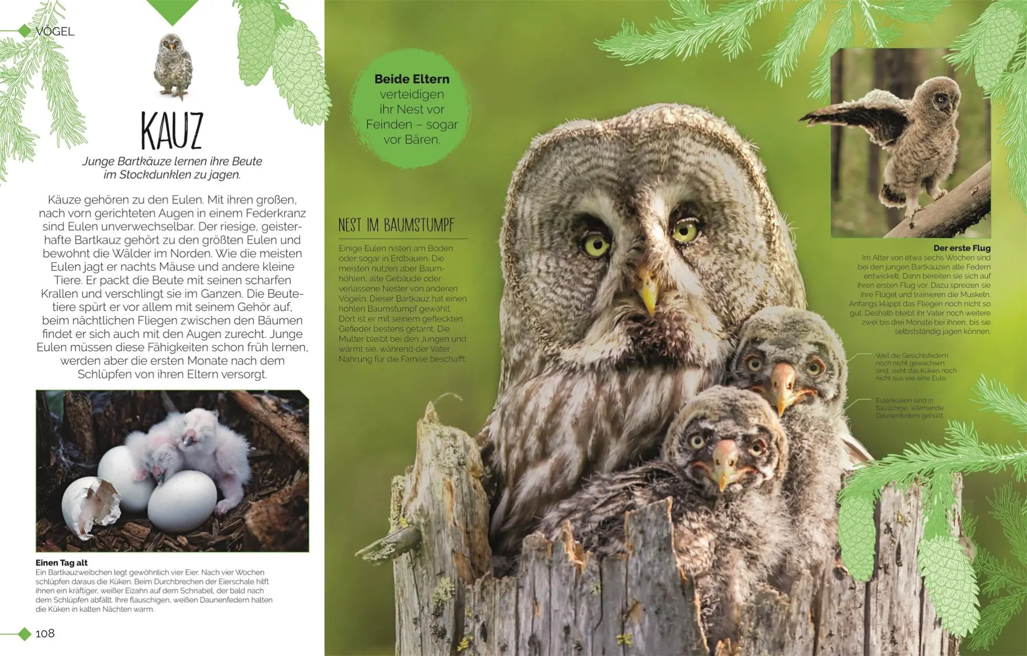 Bild: 9783831048915 | Tierkinder der Wildnis | DK Verlag - Kids | Buch | 160 S. | Deutsch