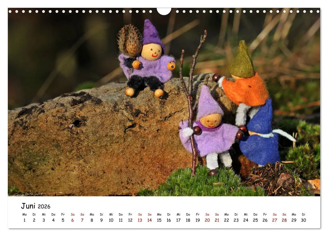 Bild: 9783457889015 | Die Abenteuer der vier kleinen Wichtel (Wandkalender 2026 DIN A3...