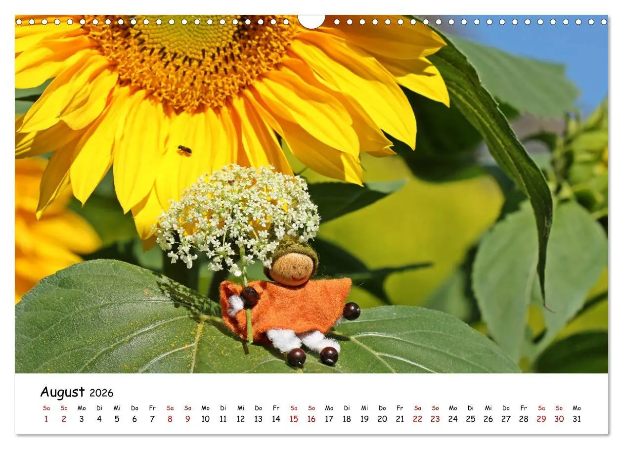 Bild: 9783457889015 | Die Abenteuer der vier kleinen Wichtel (Wandkalender 2026 DIN A3...