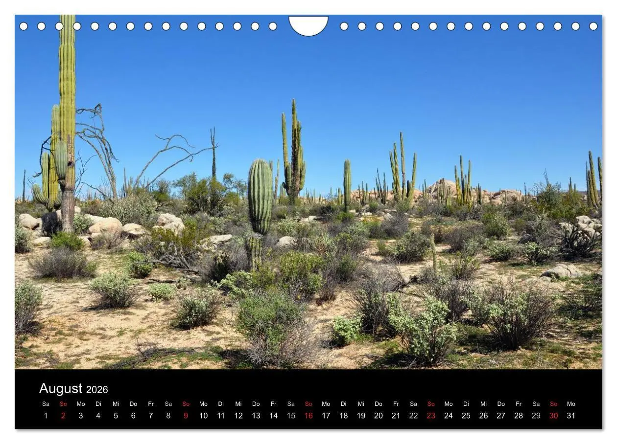 Bild: 9783516119015 | Baja California - Impressionen der mexikanischen Halbinsel...