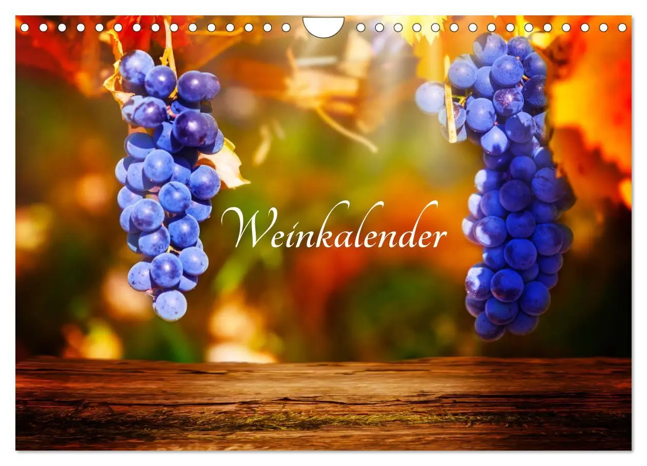 Cover: 9783457879115 | Weinkalender (Wandkalender 2026 DIN A4 quer), CALVENDO Monatskalender