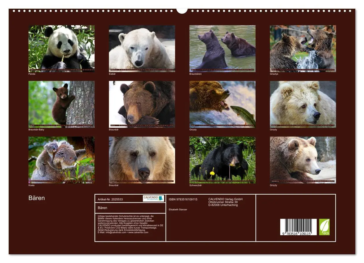 Bild: 9783516109115 | Bären (hochwertiger Premium Wandkalender 2026 DIN A2 quer),...