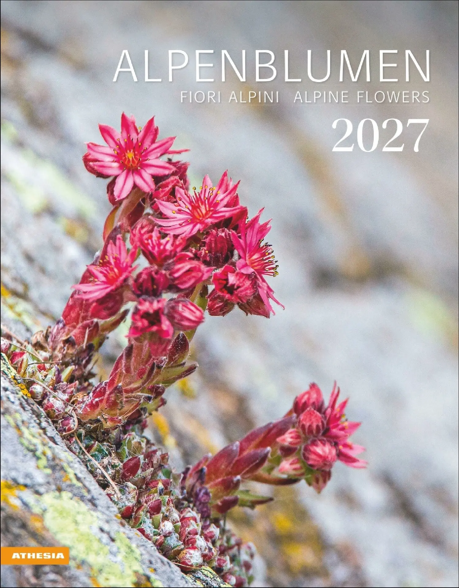 Cover: 9788868399115 | Alpenblumen Kalender 2027 | Kalender | 14 S. | Deutsch | 2027
