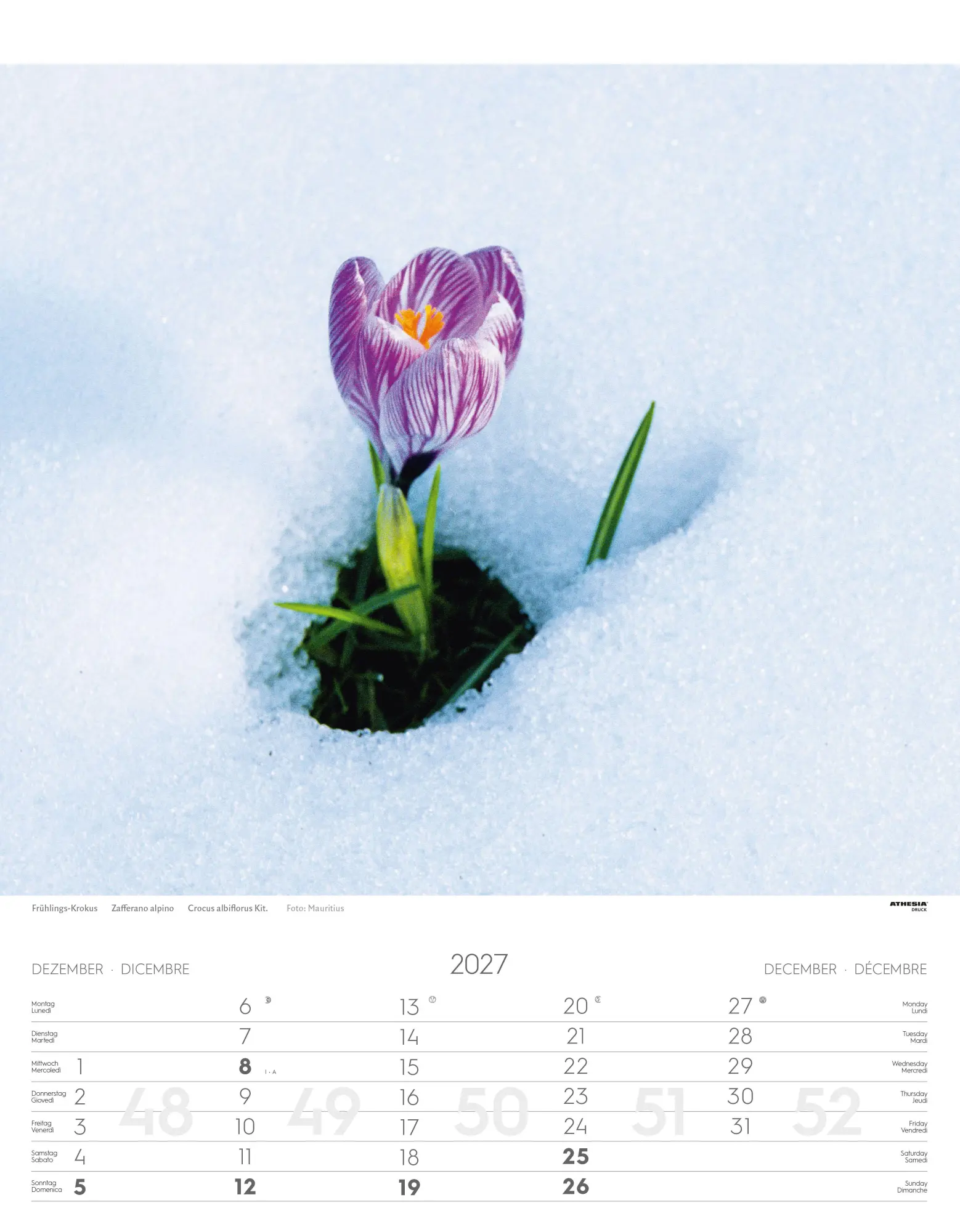 Bild: 9788868399115 | Alpenblumen Kalender 2027 | Fiori alpini - Alpine flowers | Verlag