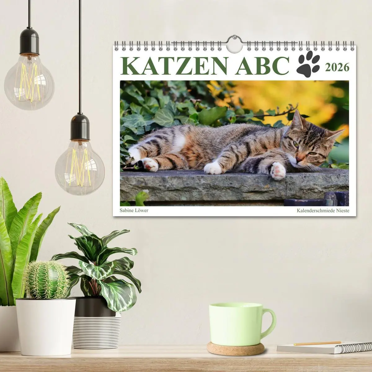 Bild: 9783457799215 | Katzen ABC (Wandkalender 2026 DIN A4 quer), CALVENDO Monatskalender