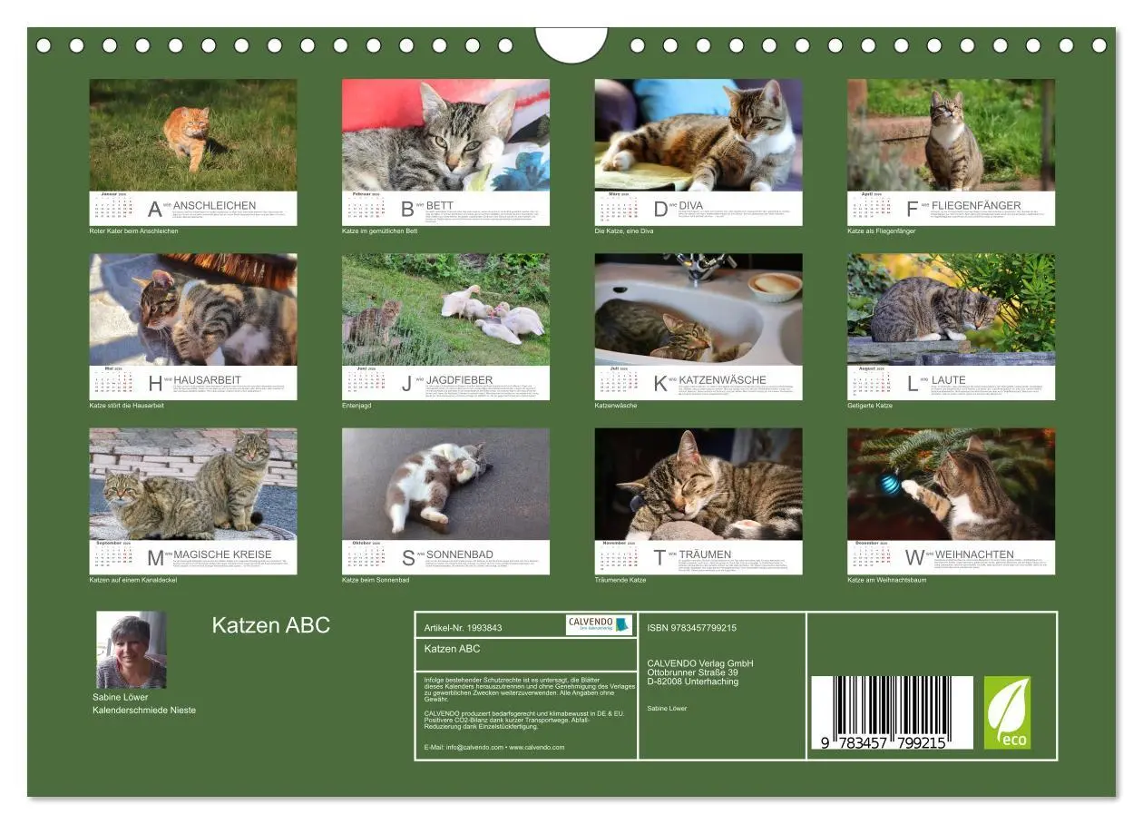 Bild: 9783457799215 | Katzen ABC (Wandkalender 2026 DIN A4 quer), CALVENDO Monatskalender