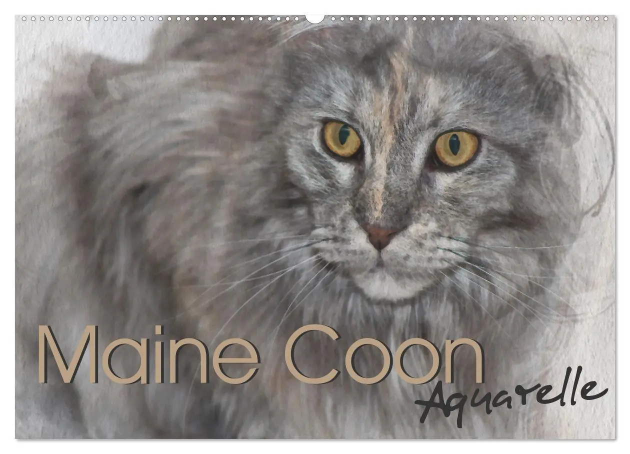 Cover: 9783457619315 | Maine Coon Aquarelle (Wandkalender 2026 DIN A2 quer), CALVENDO...