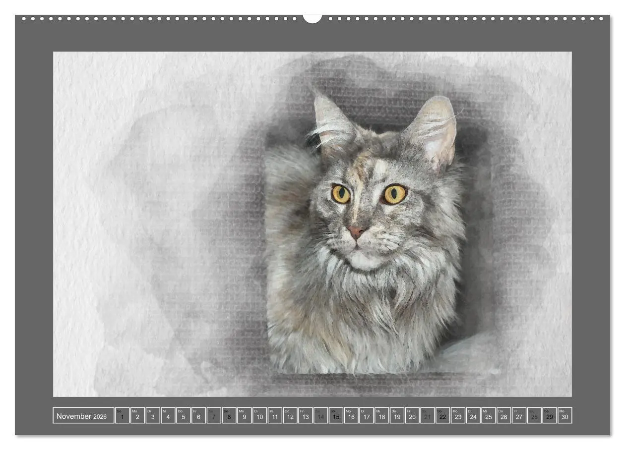 Bild: 9783457619315 | Maine Coon Aquarelle (Wandkalender 2026 DIN A2 quer), CALVENDO...