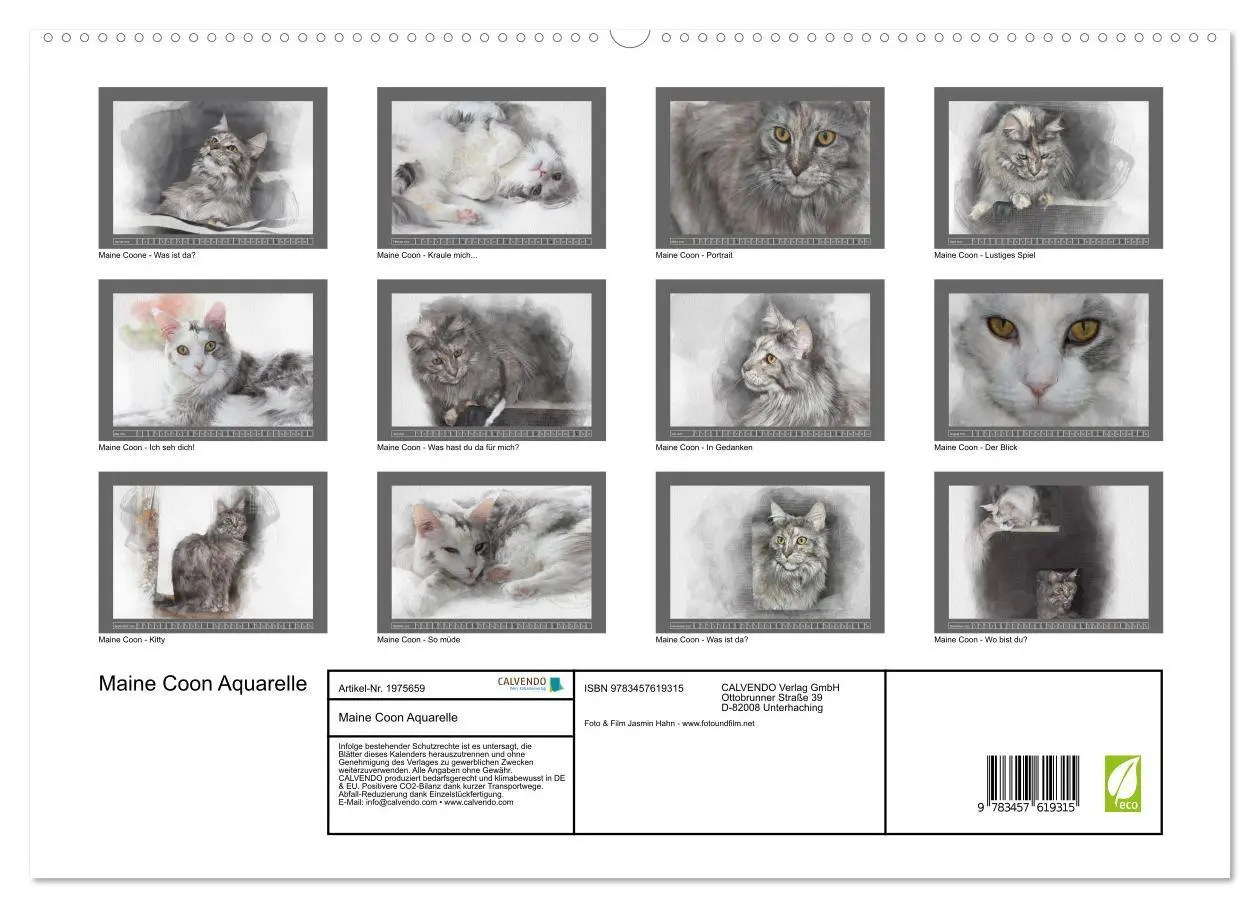Bild: 9783457619315 | Maine Coon Aquarelle (Wandkalender 2026 DIN A2 quer), CALVENDO...