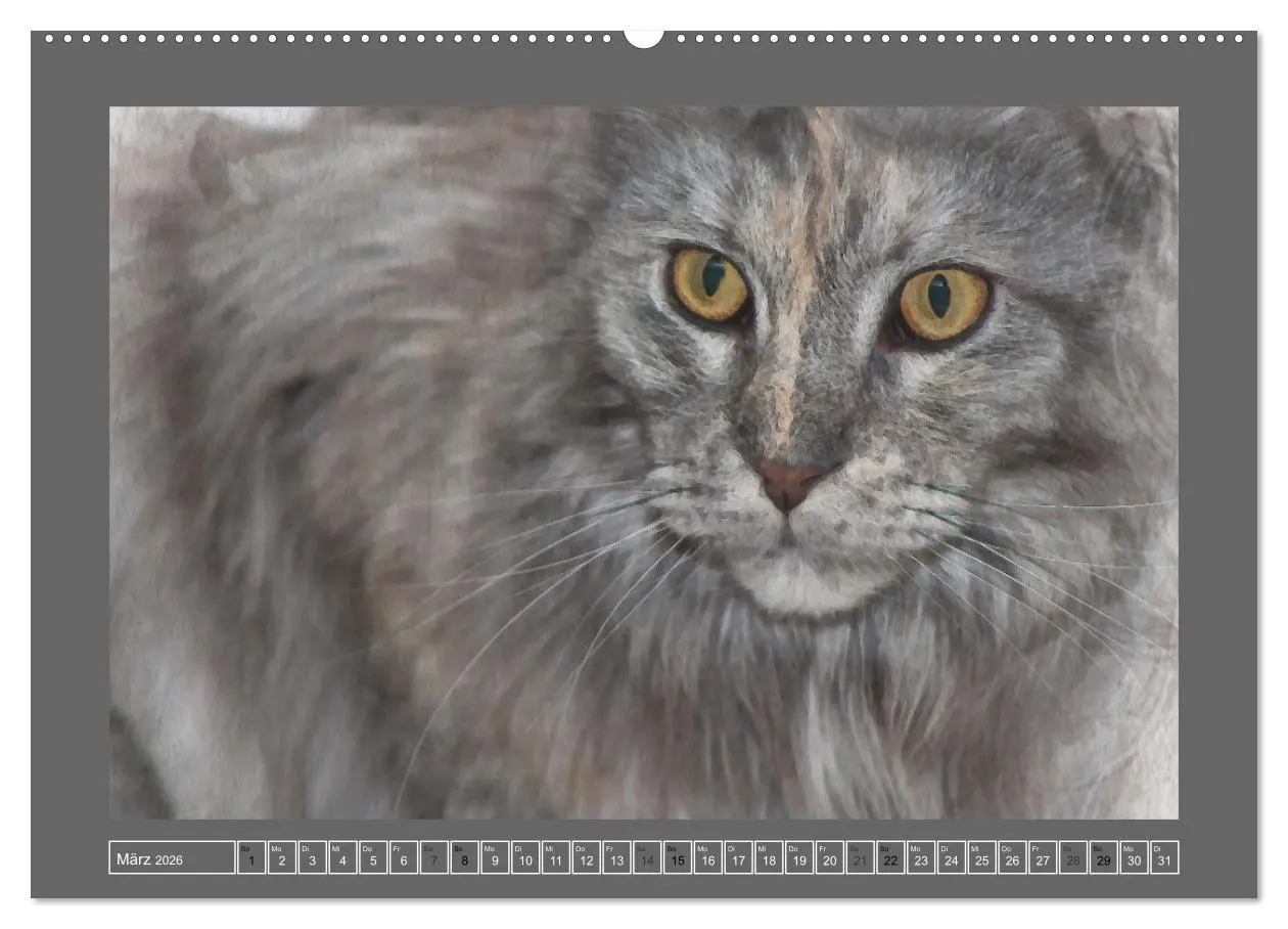 Bild: 9783457619315 | Maine Coon Aquarelle (Wandkalender 2026 DIN A2 quer), CALVENDO...