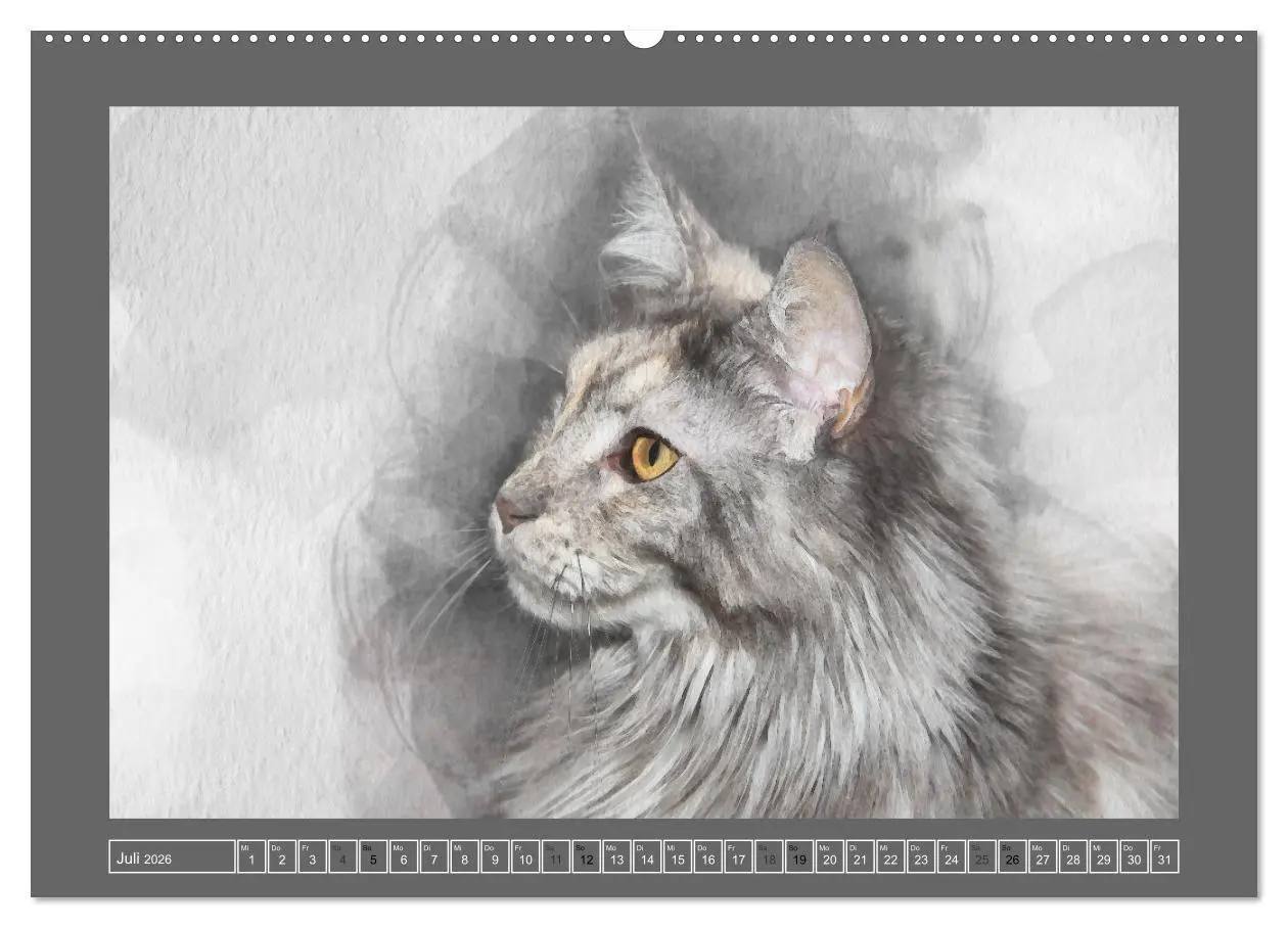 Bild: 9783457619315 | Maine Coon Aquarelle (Wandkalender 2026 DIN A2 quer), CALVENDO...