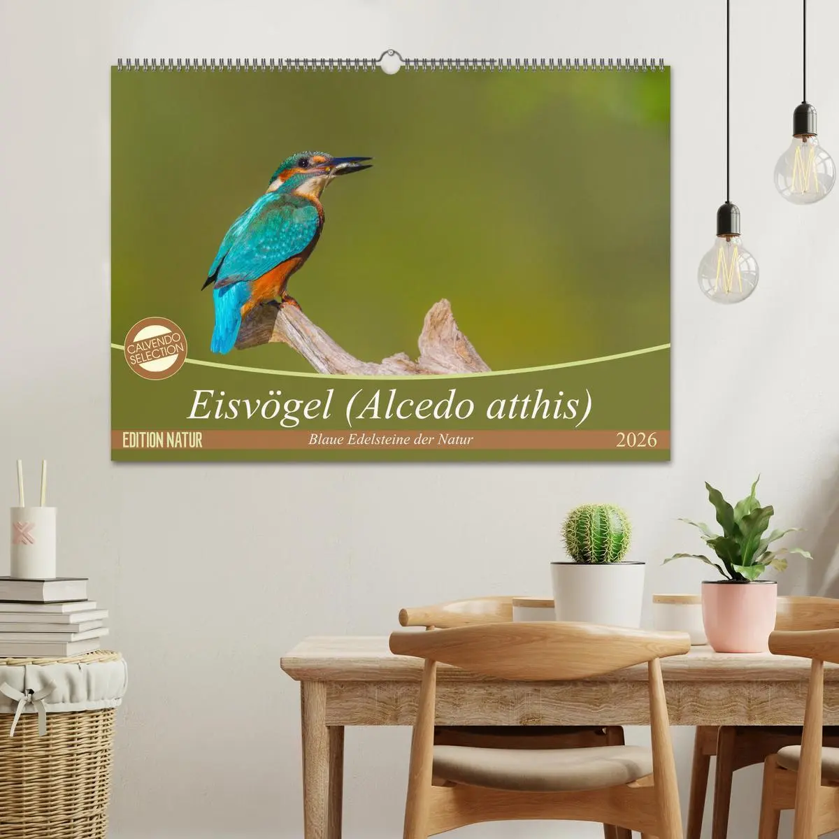 Bild: 9783516189315 | Eisvögel (Alcedo atthis) - Edelsteine der Natur (Wandkalender 2026...