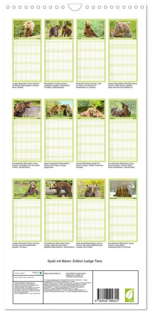 Bild: 9783516499315 | Familienplaner 2026 - Spaß mit Bären: Edition lustige Tiere mit 5...