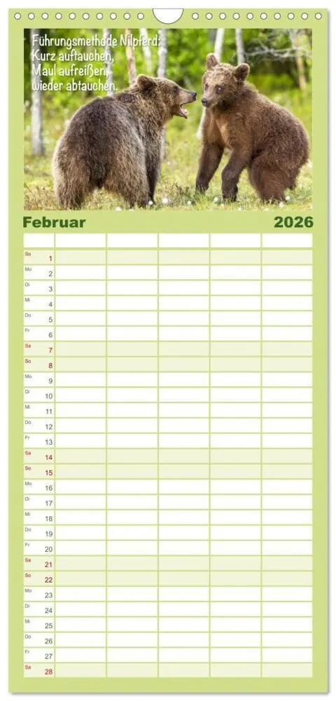 Bild: 9783516499315 | Familienplaner 2026 - Spaß mit Bären: Edition lustige Tiere mit 5...
