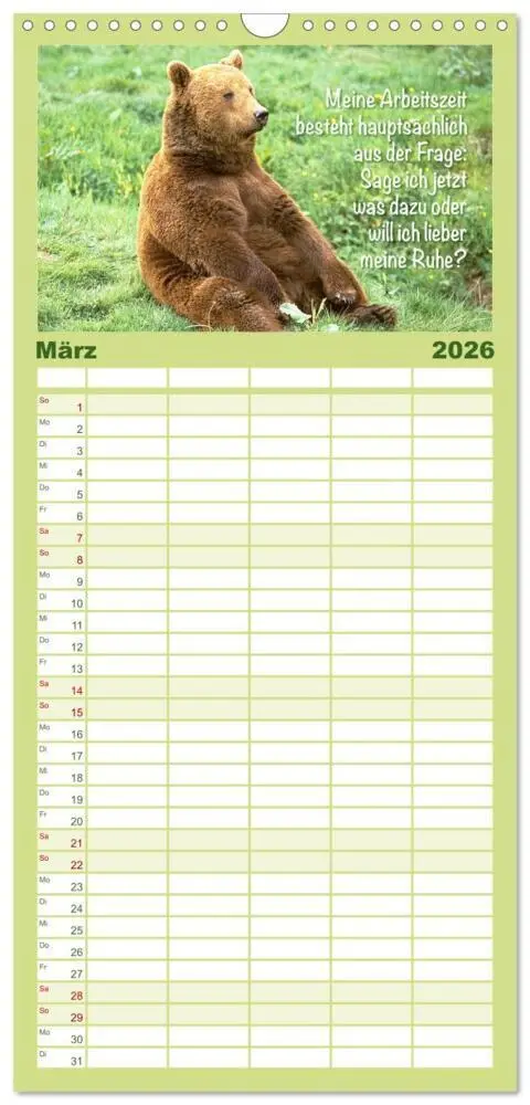 Bild: 9783516499315 | Familienplaner 2026 - Spaß mit Bären: Edition lustige Tiere mit 5...