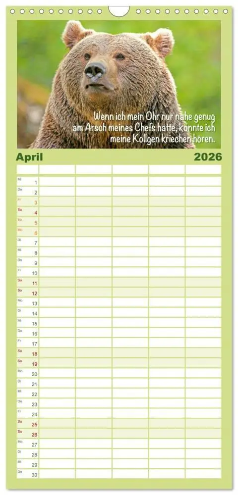 Bild: 9783516499315 | Familienplaner 2026 - Spaß mit Bären: Edition lustige Tiere mit 5...