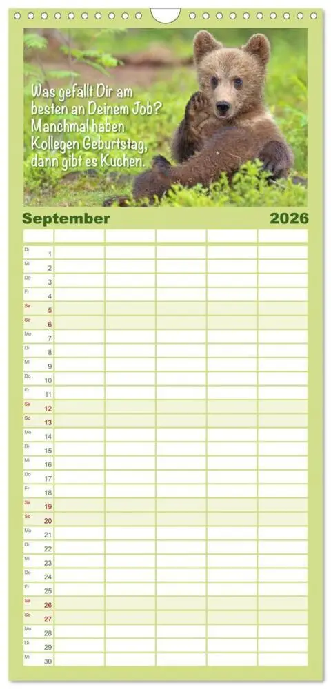 Bild: 9783516499315 | Familienplaner 2026 - Spaß mit Bären: Edition lustige Tiere mit 5...