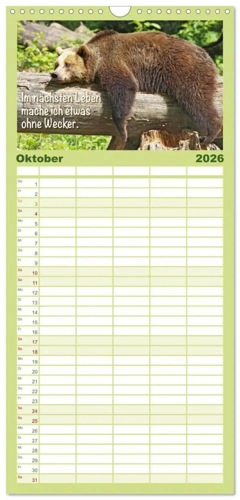 Bild: 9783516499315 | Familienplaner 2026 - Spaß mit Bären: Edition lustige Tiere mit 5...