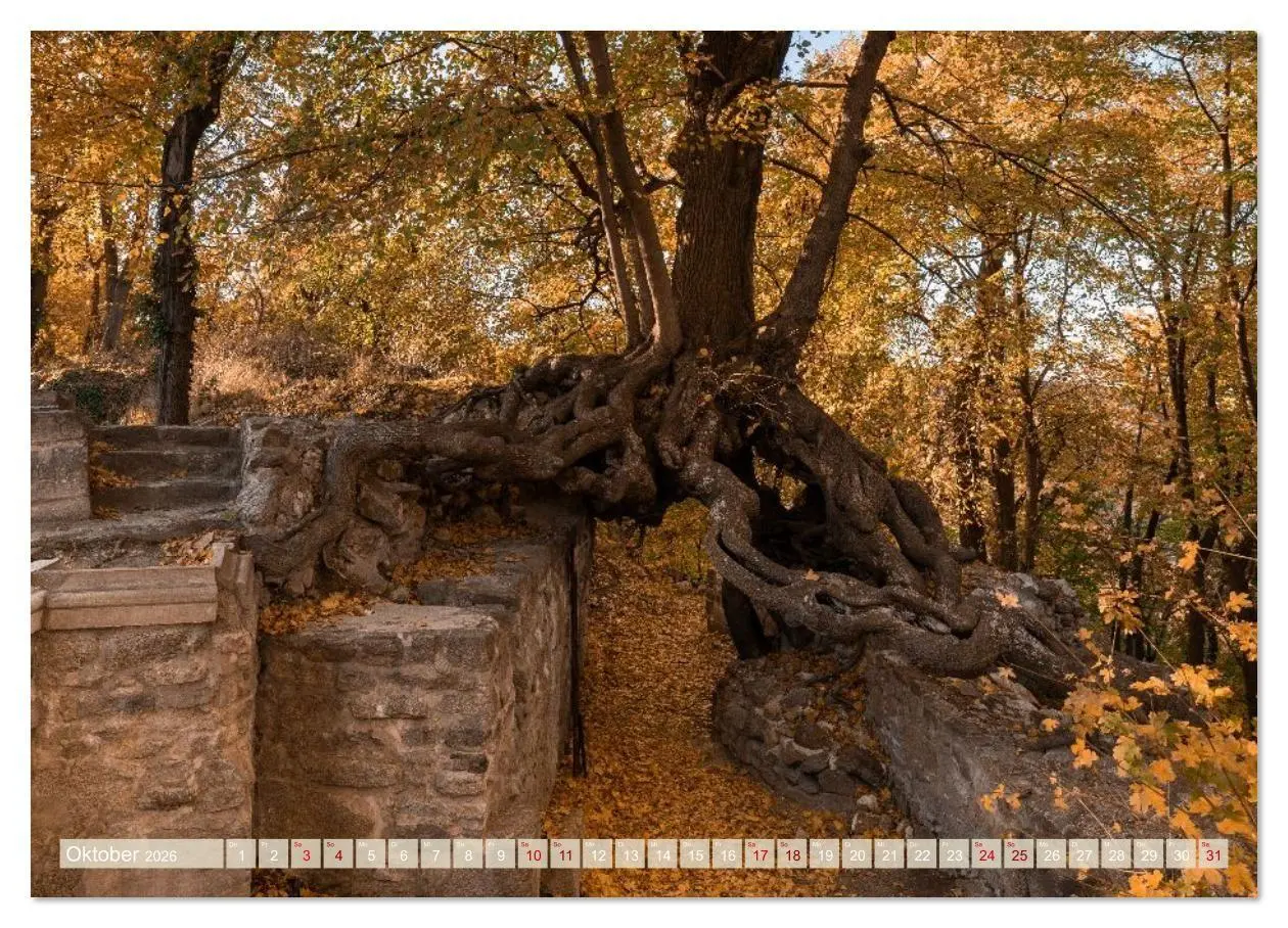 Bild: 9783516639315 | Der Harz - einfach sagenhaft (Wandkalender 2026 DIN A2 quer),...