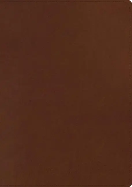 Cover: 9781433589515 | ESV Chronological Bible (Trutone, Brown) | Andrew E. Steinmann | Buch