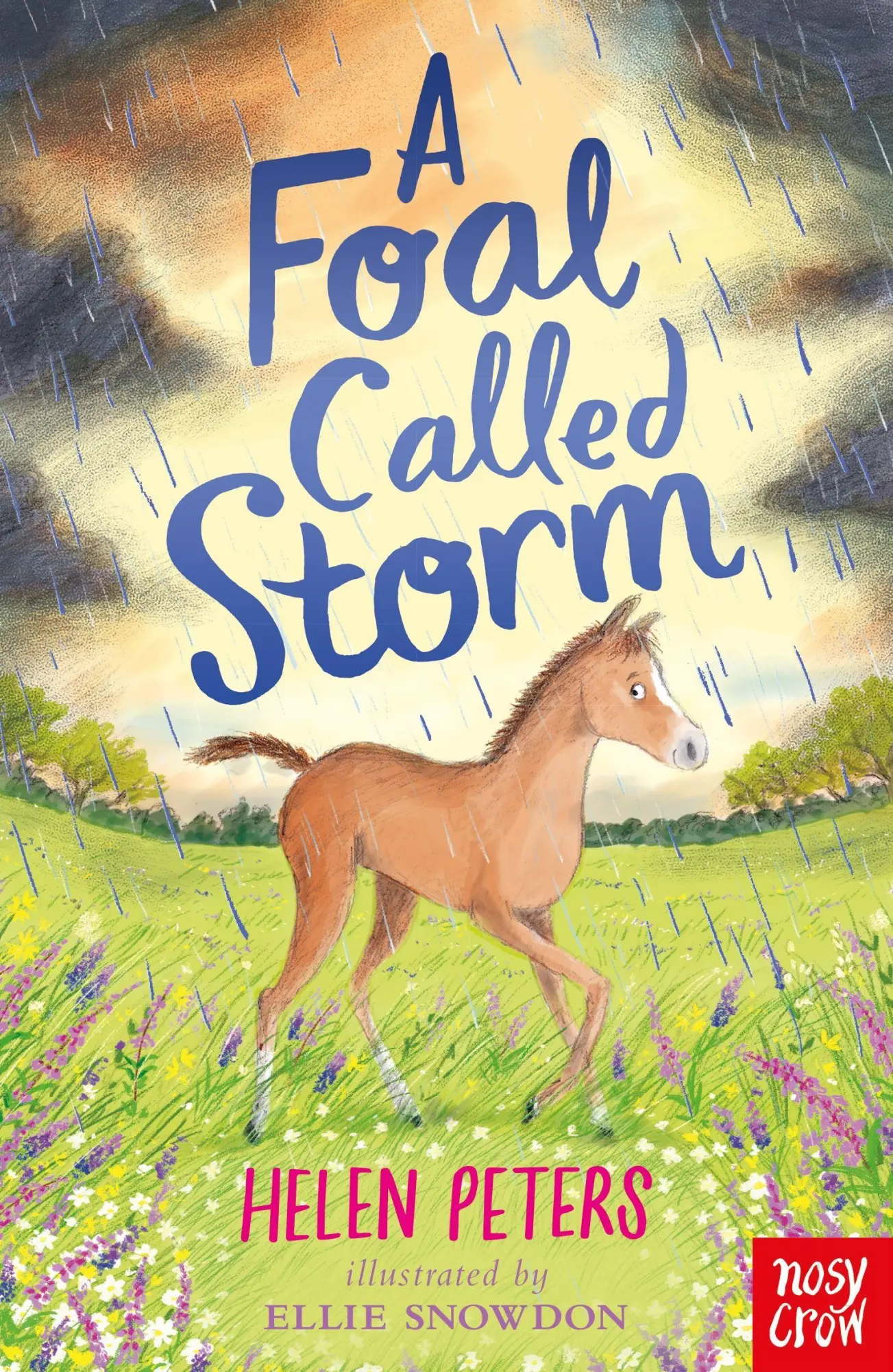 Cover: 9781788009515 | A Foal Called Storm | Helen Peters | Taschenbuch | Englisch | 2021