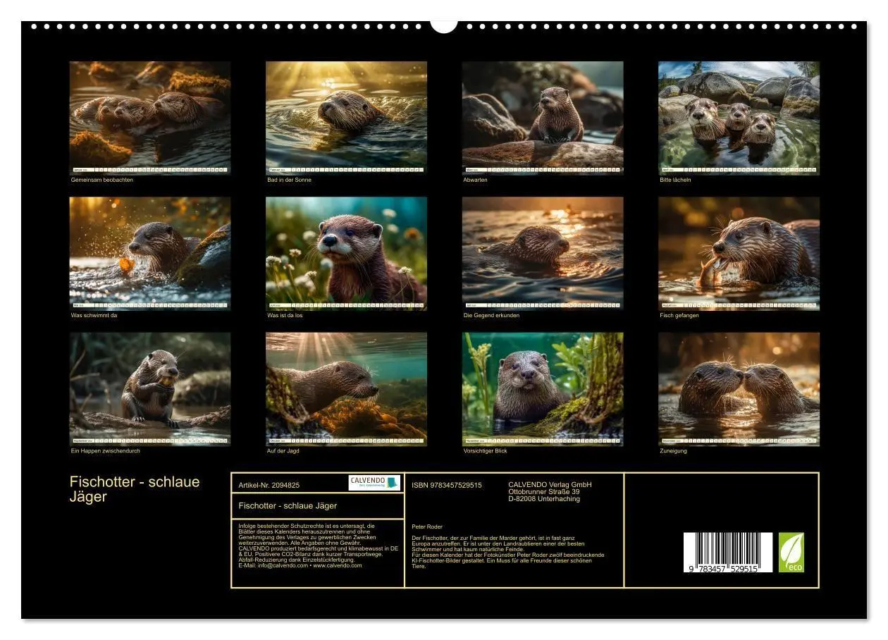 Bild: 9783457529515 | Fischotter - schlaue Jäger (hochwertiger Premium Wandkalender 2026...