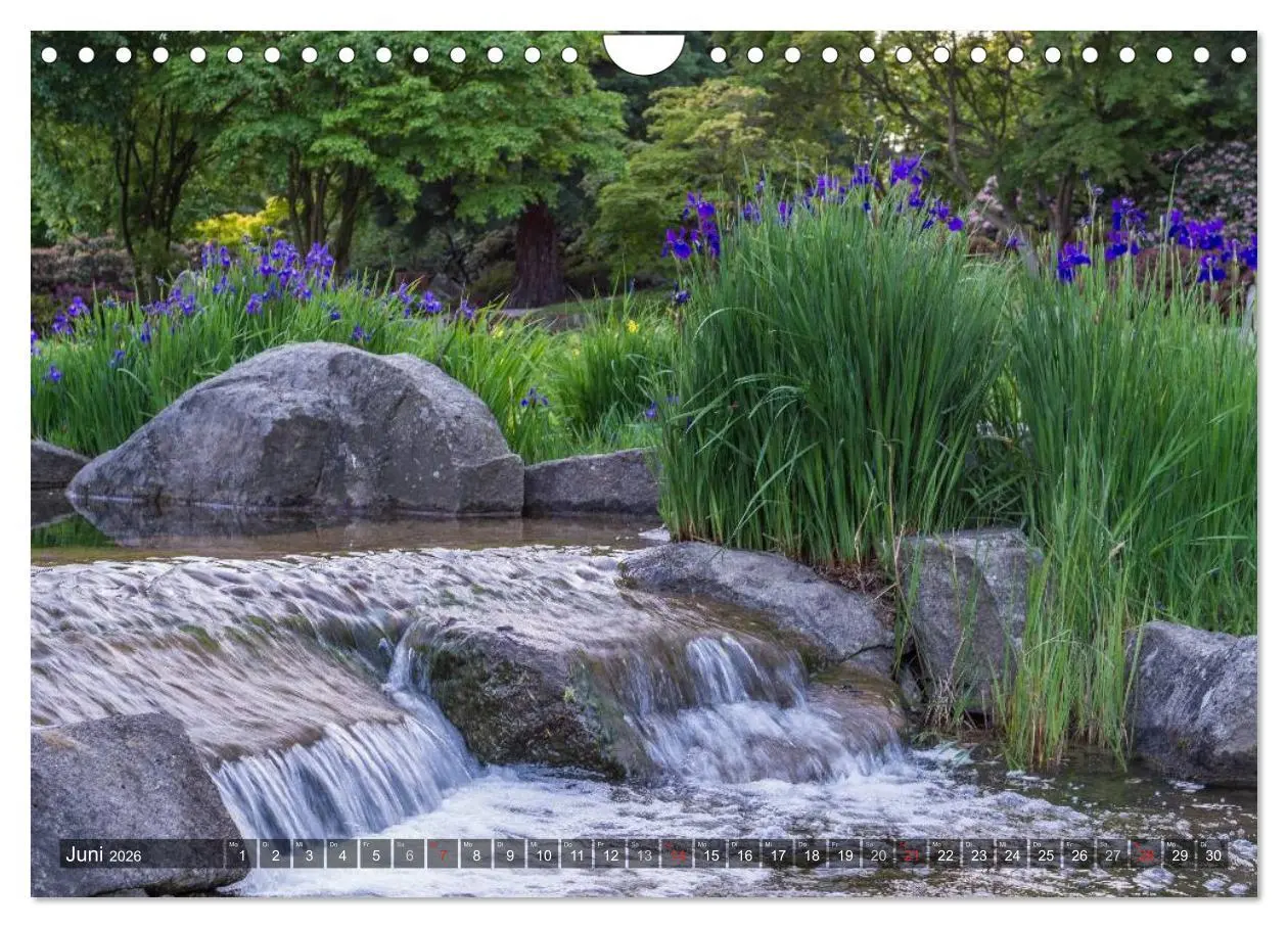 Bild: 9783457909515 | Feng Shui Farben - Element Wasser (Wandkalender 2026 DIN A4 quer),...
