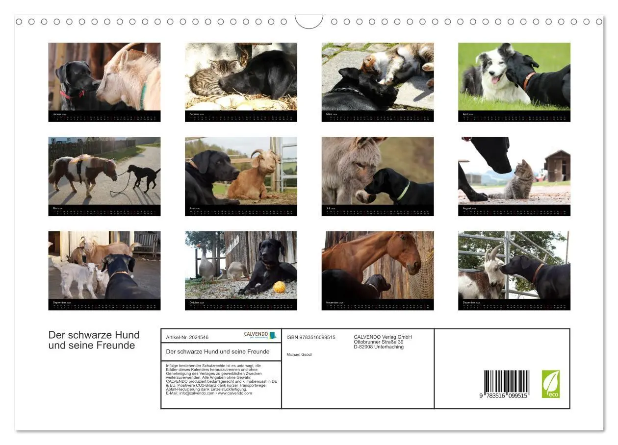 Bild: 9783516099515 | Der schwarze Hund und seine Freunde (Wandkalender 2026 DIN A3...