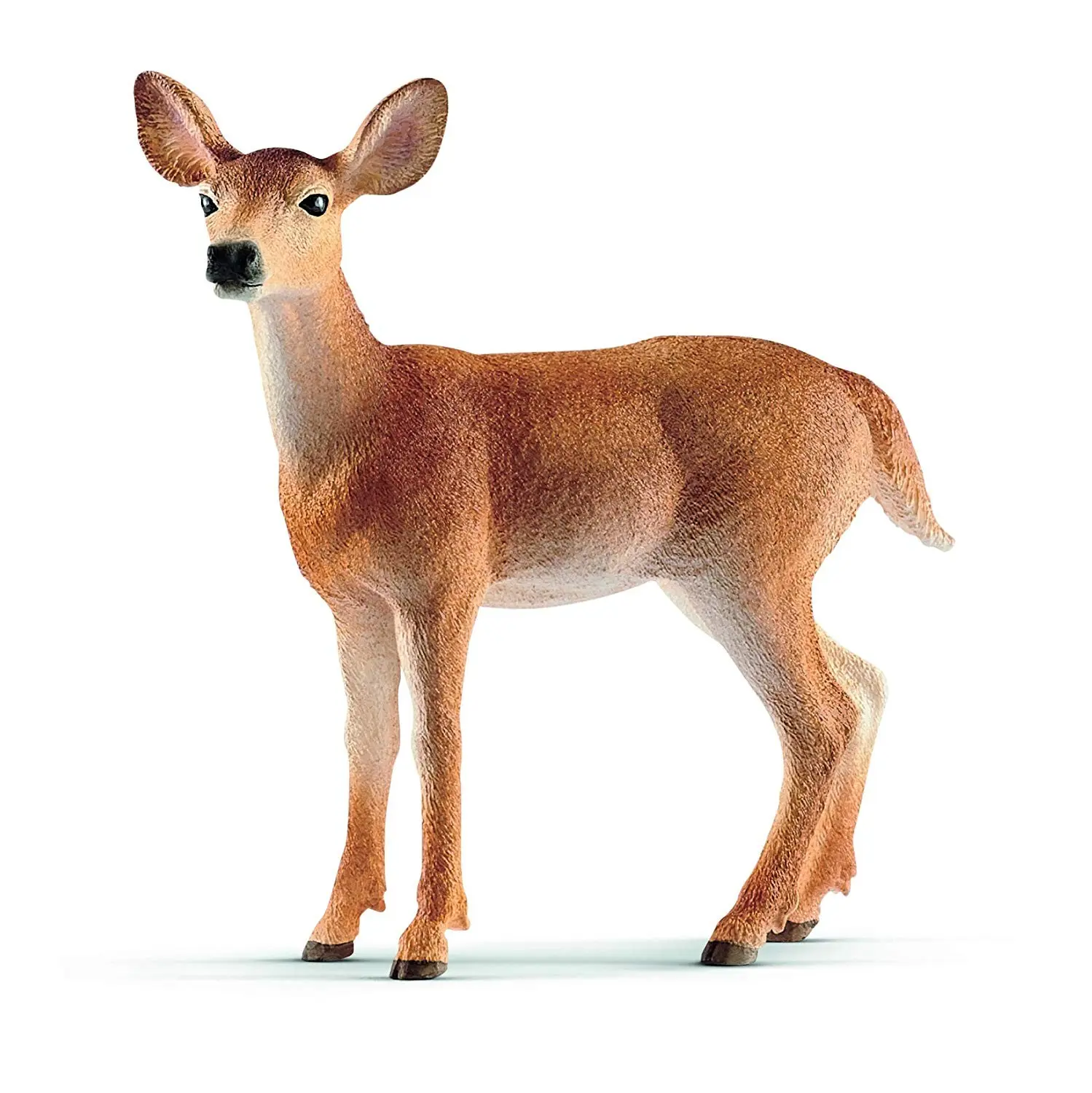 Cover: 4055744029615 | Schleich 14819 - Wild Life, Weißwedelkuh, Spielfigur, Tierfigur,...