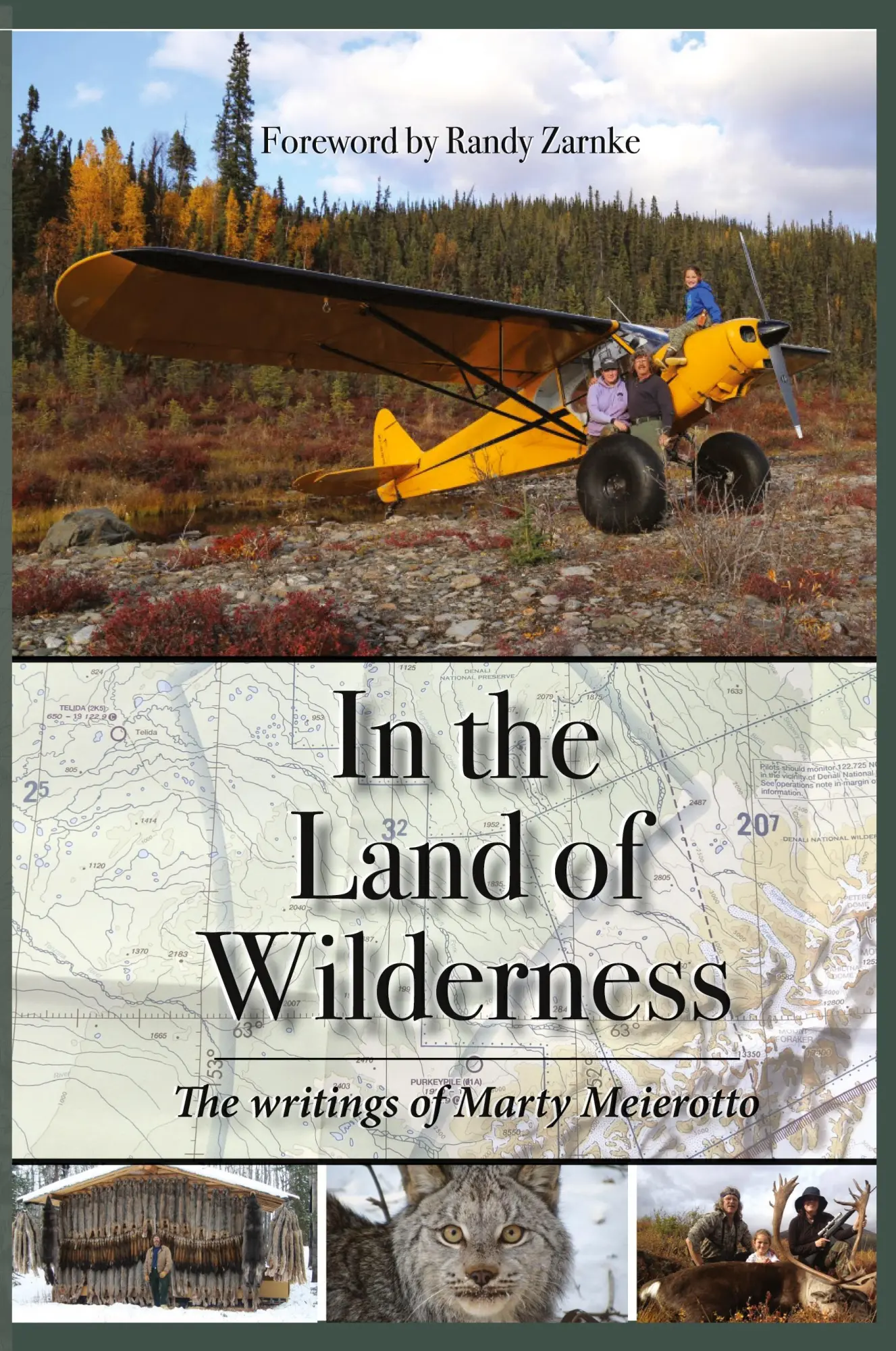 Cover: 9781594339615 | In the Land of Wilderness | Marty Meierotto | Taschenbuch | Englisch