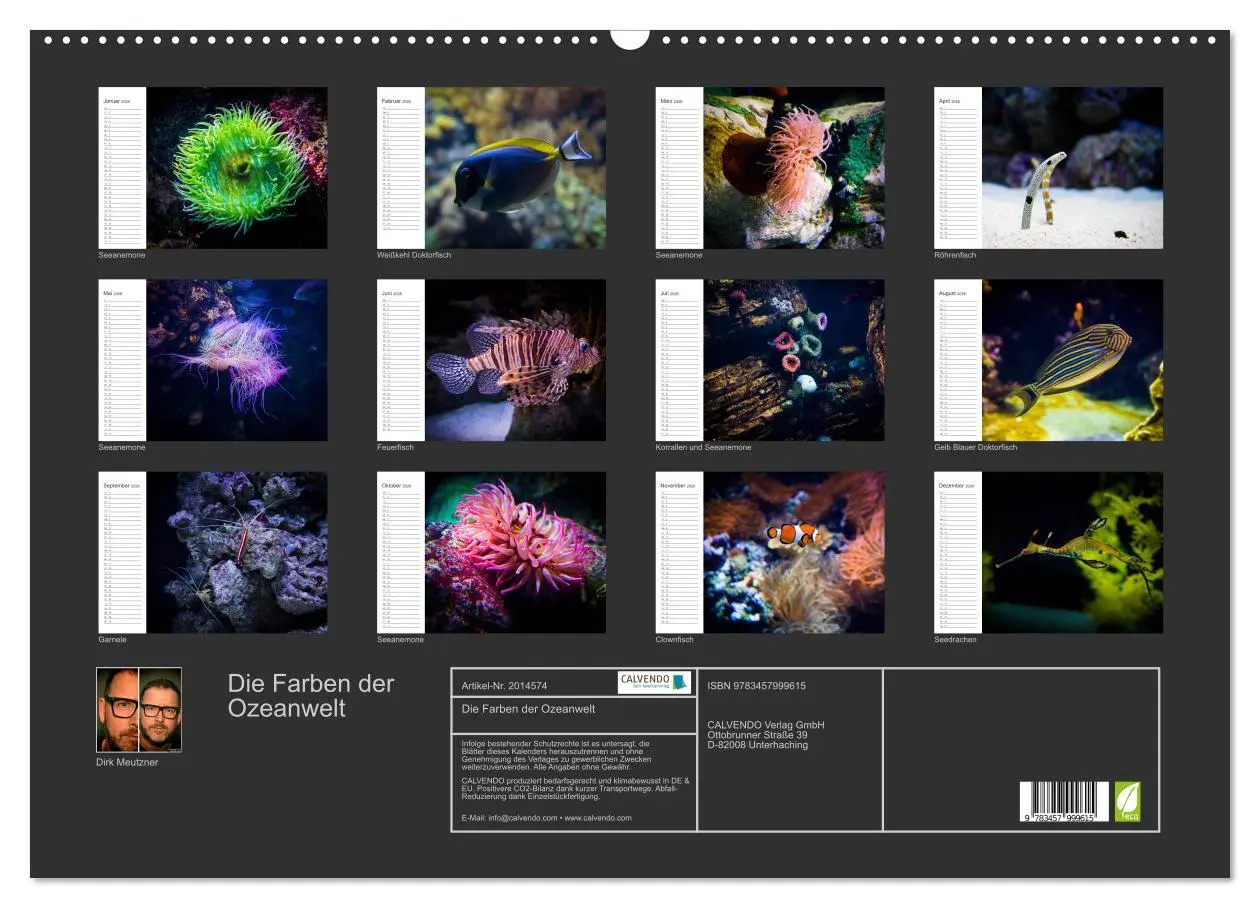 Bild: 9783457999615 | Die Farben der Ozeanwelt (Wandkalender 2026 DIN A2 quer), CALVENDO...