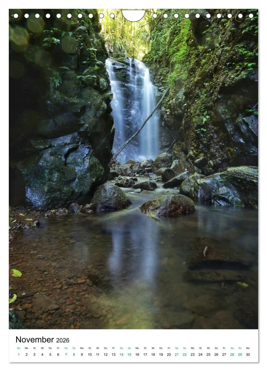 Bild: 9783516399615 | Regenwald - Australien (Wandkalender 2026 DIN A4 hoch), CALVENDO...