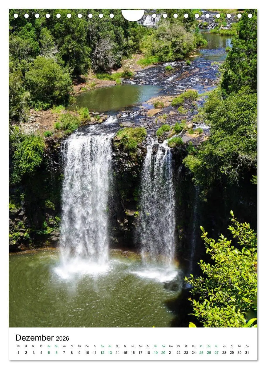Bild: 9783516399615 | Regenwald - Australien (Wandkalender 2026 DIN A4 hoch), CALVENDO...