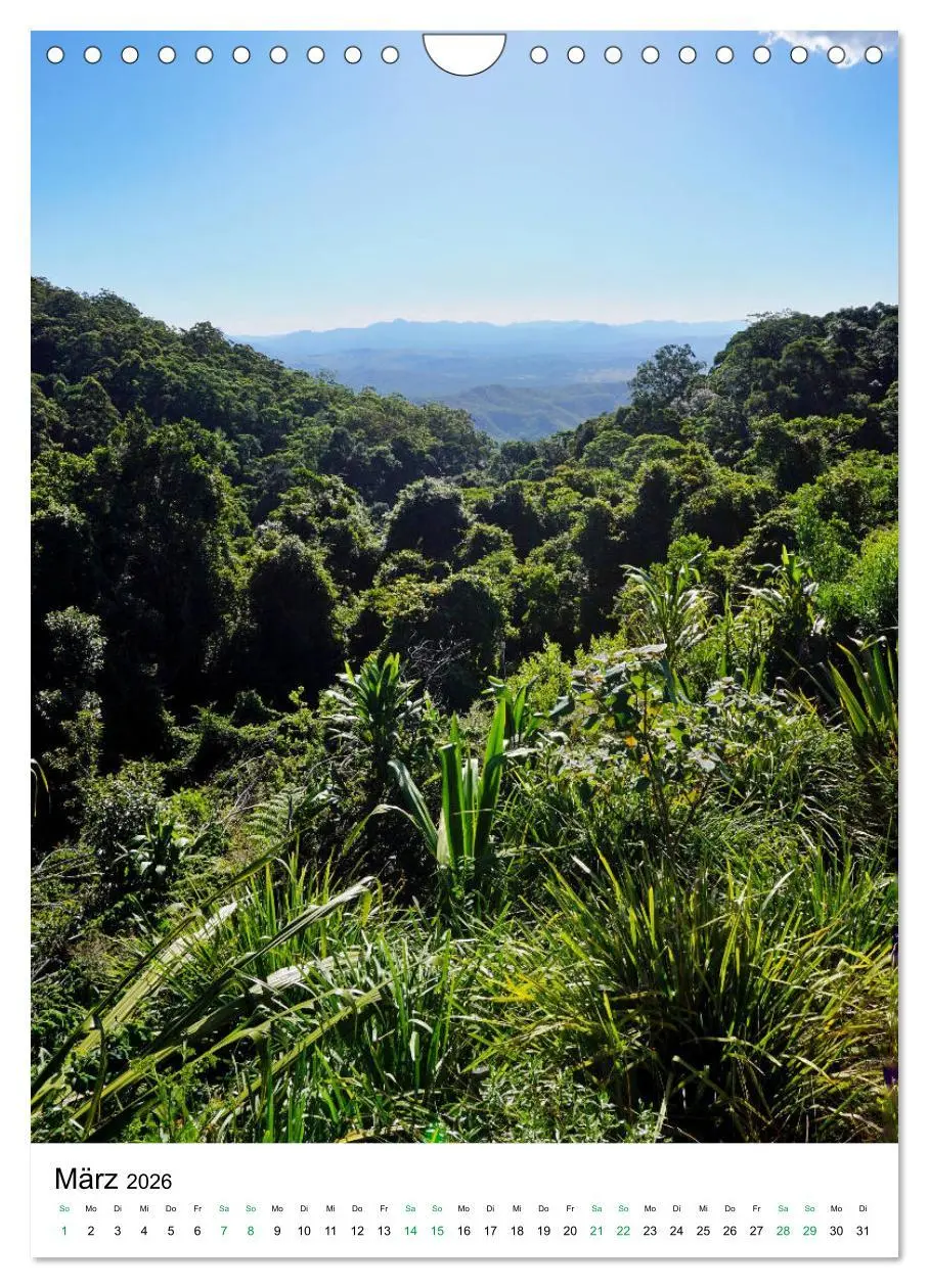 Bild: 9783516399615 | Regenwald - Australien (Wandkalender 2026 DIN A4 hoch), CALVENDO...